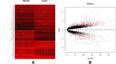 Identification of Core Gene Expression Signature and Key Pathways in Colorectal Cancer